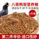八哥饲料鸟饲料食虫鸟食海八黑八鹩哥饲料专用营养鸟粮1斤 包邮