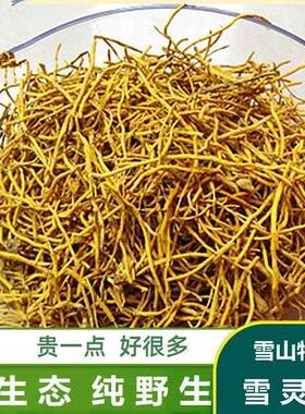 雪灵茶精选养生青藏特产雪山三宝无硫原生态纯天然