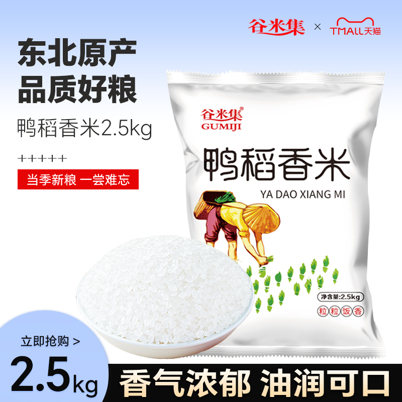 谷米集东北黑龙江大米