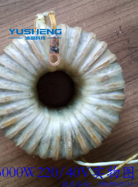 渝盛 环形变压器 3000w500t0w6000w220v变12v26V48V工频逆变变压