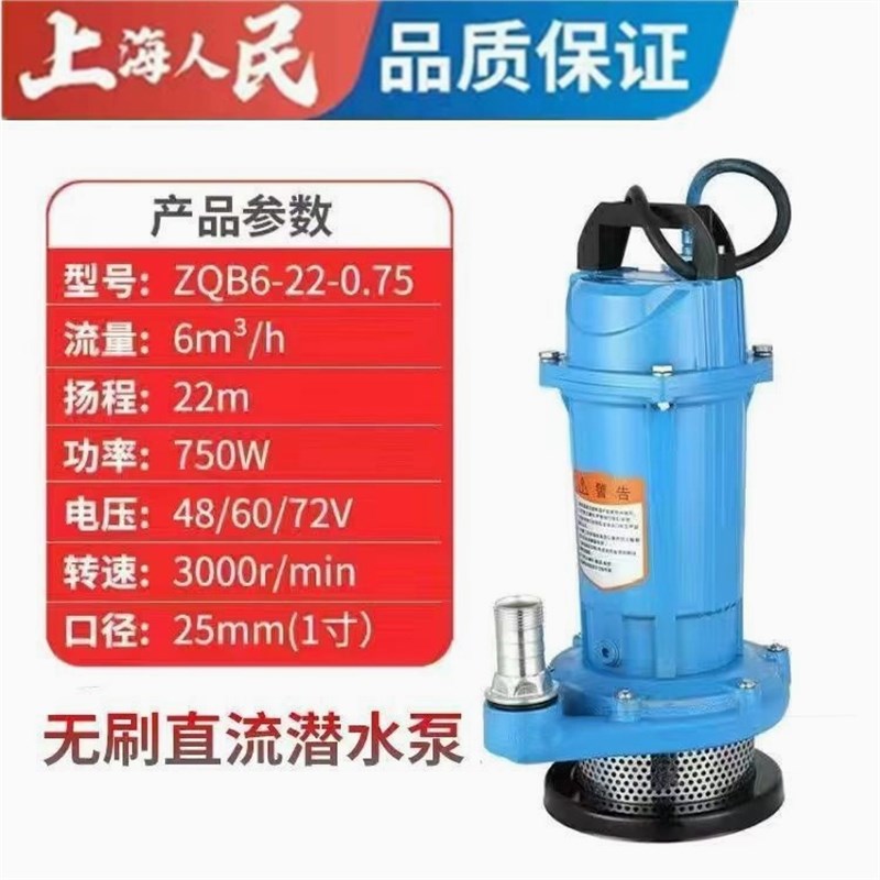 德国进口b上海人民无刷直流潜水抽水泵48V60V72V通用电动车高扬程