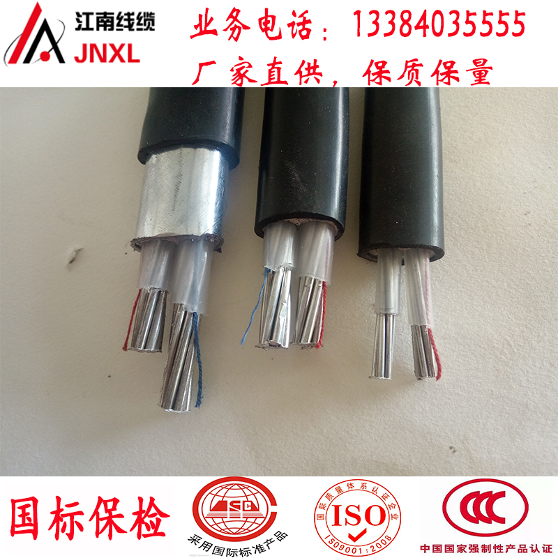 电线电缆2芯10/16/25/35x/50/70平方国标铝线双层绝缘铠装铝电缆
