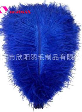 彩色鸵鸟毛20-25cm桌花婚庆橱窗灯饰舞台装饰道具