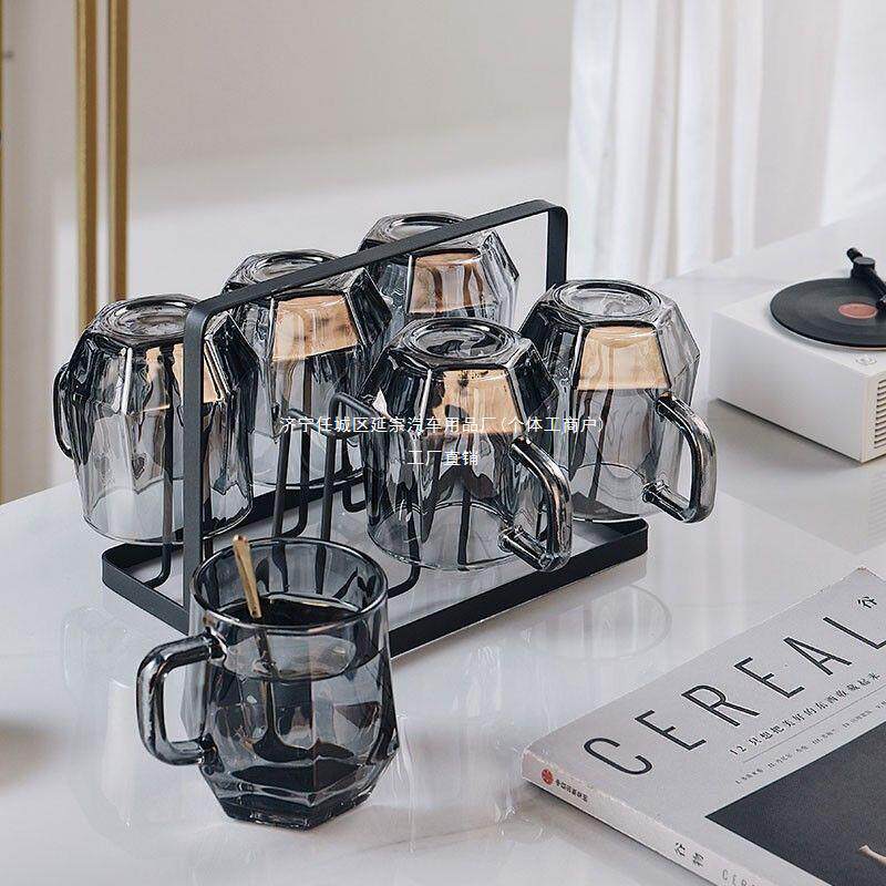 钻石喝水杯待客客厅茶杯套装把高颜值玻璃杯家用带A整套延宗