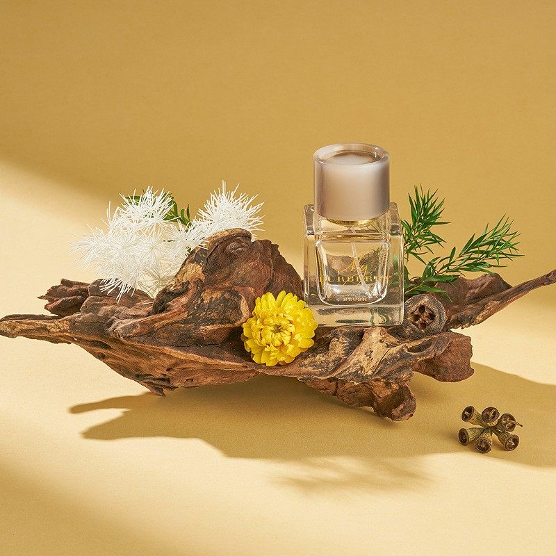 木质摆件道具沉木随机造型装饰拍照摄影布景静物产品拍摄创意