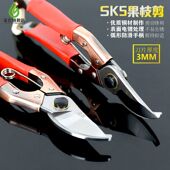 金农园艺剪刀苗木修枝剪刀树枝剪刀果枝剪园林剪刀园丁剪修花剪刀