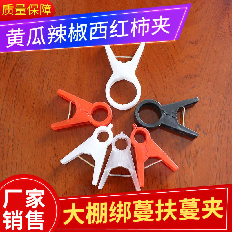 大棚黄瓜夹子绑蔓夹番茄西红柿辣椒吊秧夹吊蔓夹扶蔓夹落秧夹农用