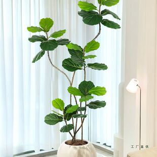 仿真植物琴叶榕落地盆栽室内大型仿生绿植摆件客厅轻奢装饰花假树