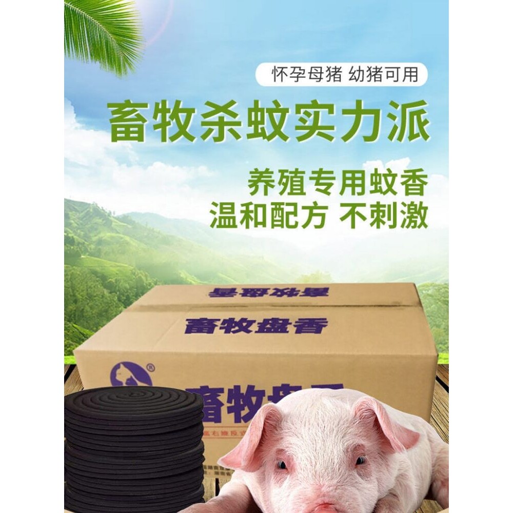 整箱600盘畜牧蚊香猪场专用母猪养殖场兽用灭蚊蝇香野外驱蚊神器