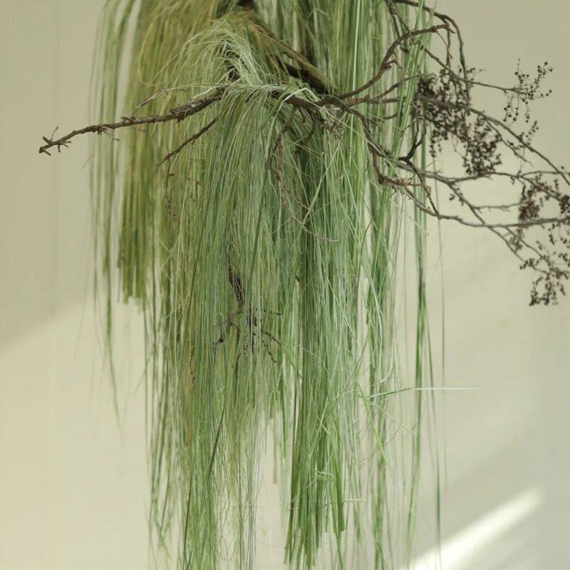 拉丝水蜡叶花材水烛叶丝干花水竹叶丝垂吊垂挂型装饰材料婚庆花