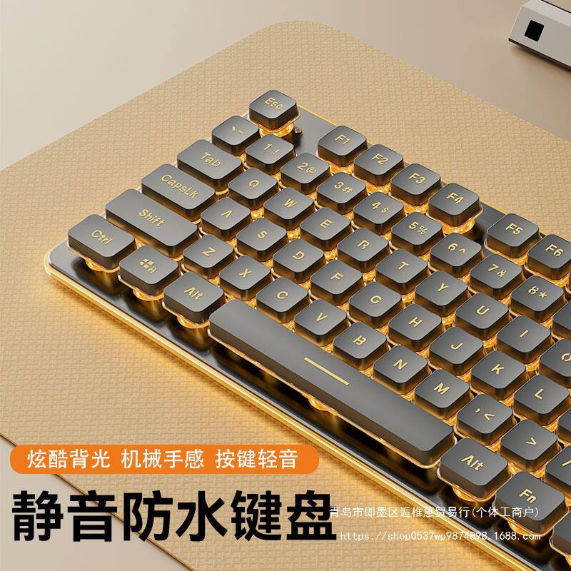 有线静音键盘高颜值机械手感背光平板笔记本电脑打字女生办公其他