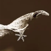 这是一家感情店一分钱素材