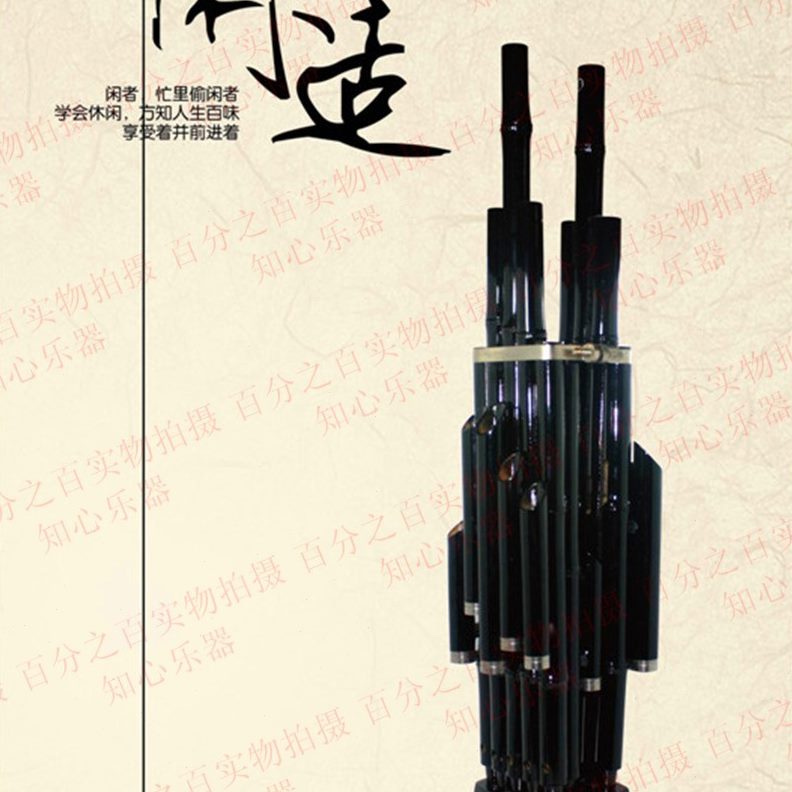 乐器乐器笙 笙 笙笙簧笙 14乐器 乐器演初学者方表笙簧初学者乐器