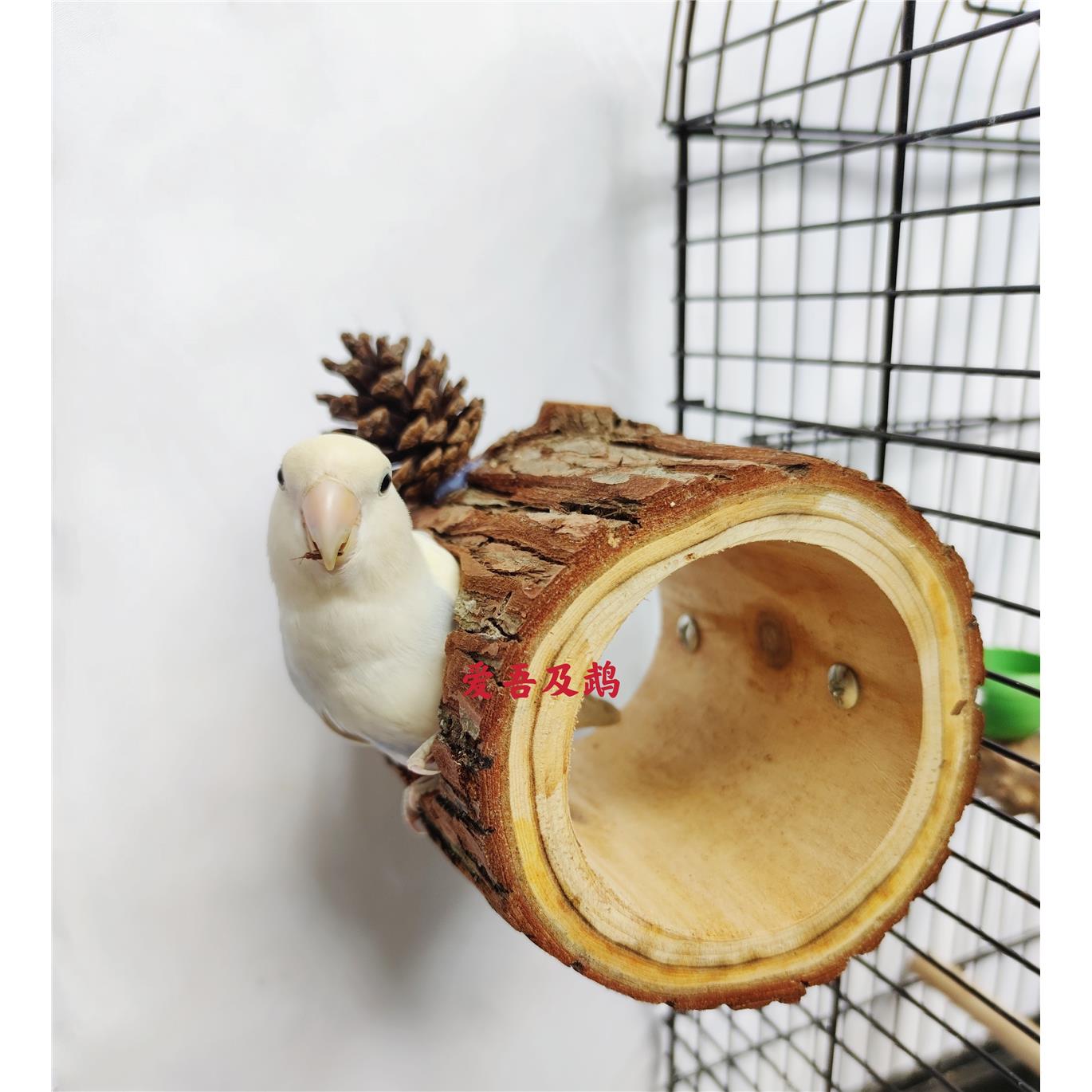 成都森系鸽子鹦鹉纯天然手工原木鸟窝玄凤牡丹虎皮啃咬玩具磨嘴