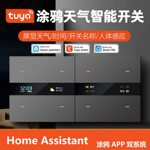 HomeAssistant涂鸦zigbee面板开
