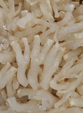 正宗特级猪蹄筋新鲜猪筋煲汤家庭酒店火锅爆炒凉拌食材冷冻半成品