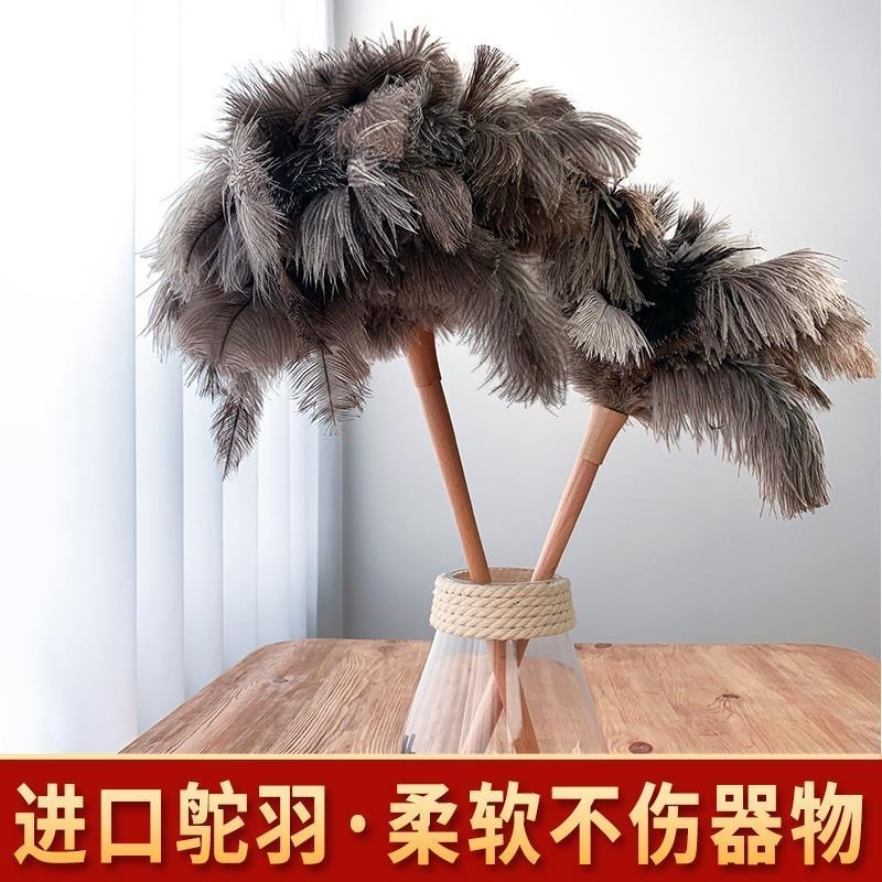 高档奢华鸵鸟毛掸子密绒鸵鸟羽鸡毛除尘掸子扫灰家用静电灰尘清洁