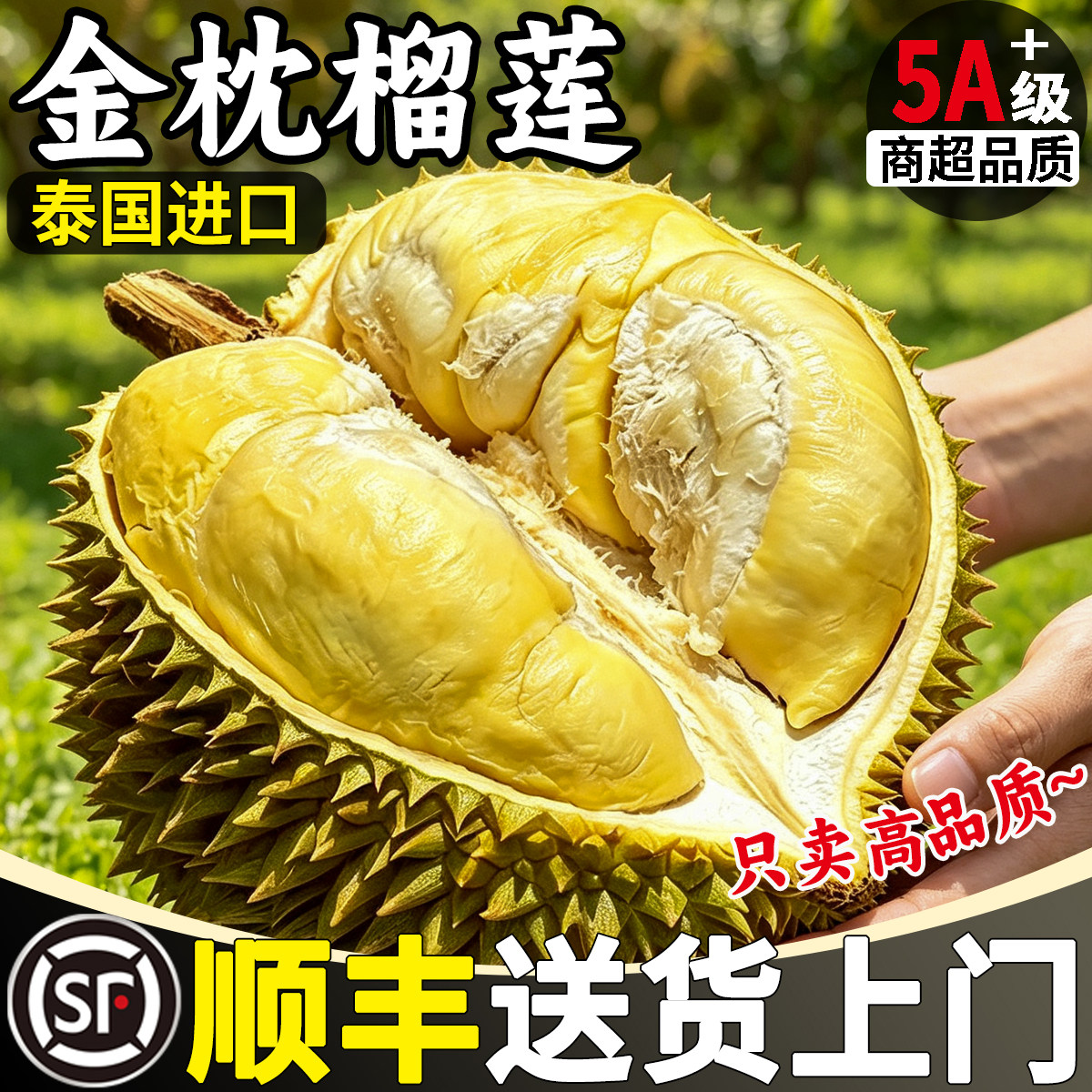 顺丰泰国进口金枕头榴莲A+级新鲜水果整颗带壳当季大一整个干包