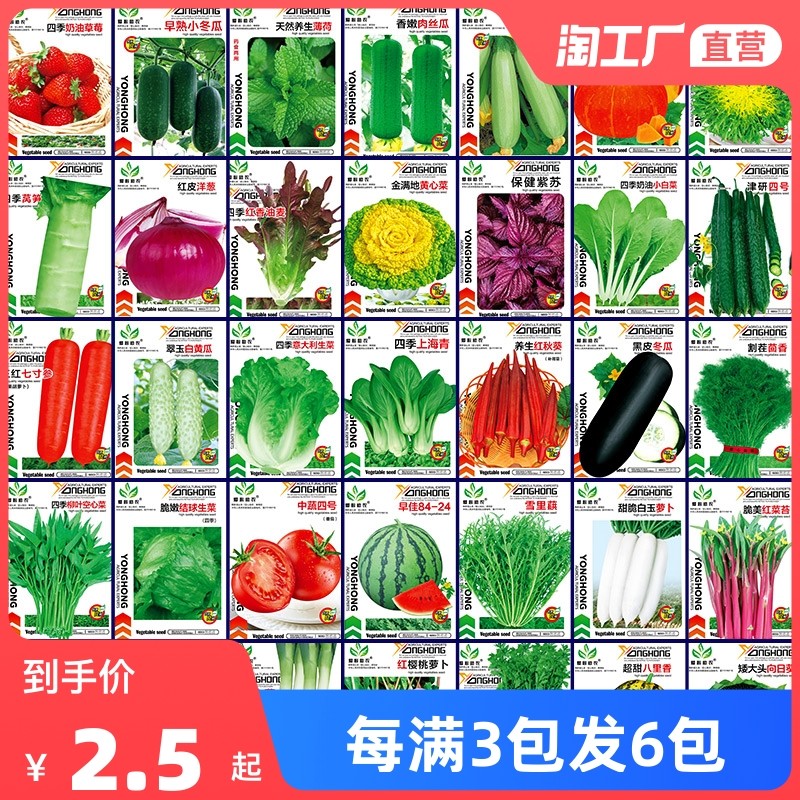 蔬菜种子四季播种阳台农家盆栽香菜菠菜生菜韭菜小葱草莓籽孑大全,农用物资,育苗/栽培基质,淘宝优惠券,粉丝福利购,淘宝优惠卷