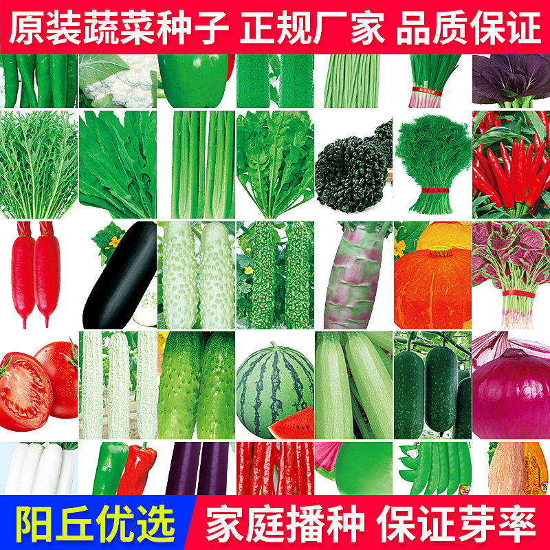 蔬菜种子阳台庭院四季播盆栽辣椒香菜番茄黄瓜洋葱香甜瓜种籽大全,农用物资,育苗/栽培基质,淘宝优惠券,粉丝福利购,淘宝优惠卷