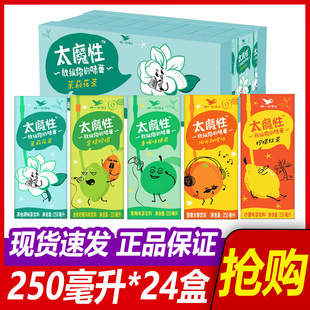 统一太魔性饮料红茶茉莉花茶酸梅汤金桔柠檬橙青梅绿茶250ml*24盒
