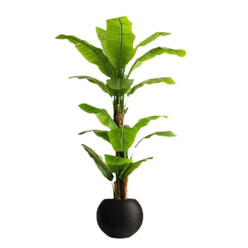 仿真大叶芭蕉树香蕉树热带景观植物落地绿植假树室内客厅摆件大型