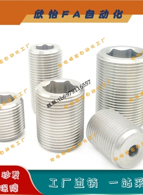 PAF02细牙内六角调整螺丝LVWM LVFWM12/16/20/24/30-L10/20/30/40