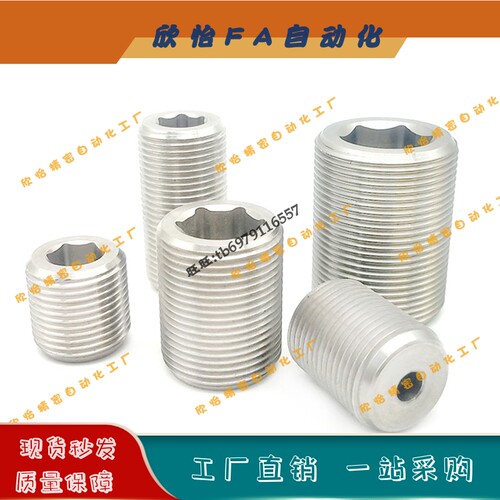 PAF02细牙内六角调整螺丝LVWM LVFWM12/16/20/24/30-L10/20/30/40