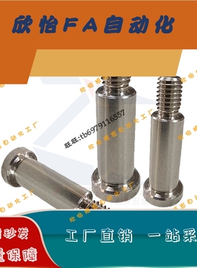 粗牙轴承用止动销 BGSPS4/5/6/8/10/12-7/8/9/11/13 不锈钢304