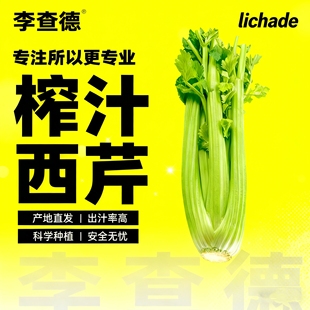 【顺丰上门】李查德®专用西芹榨汁芹菜大西芹新鲜山东寿光蔬菜