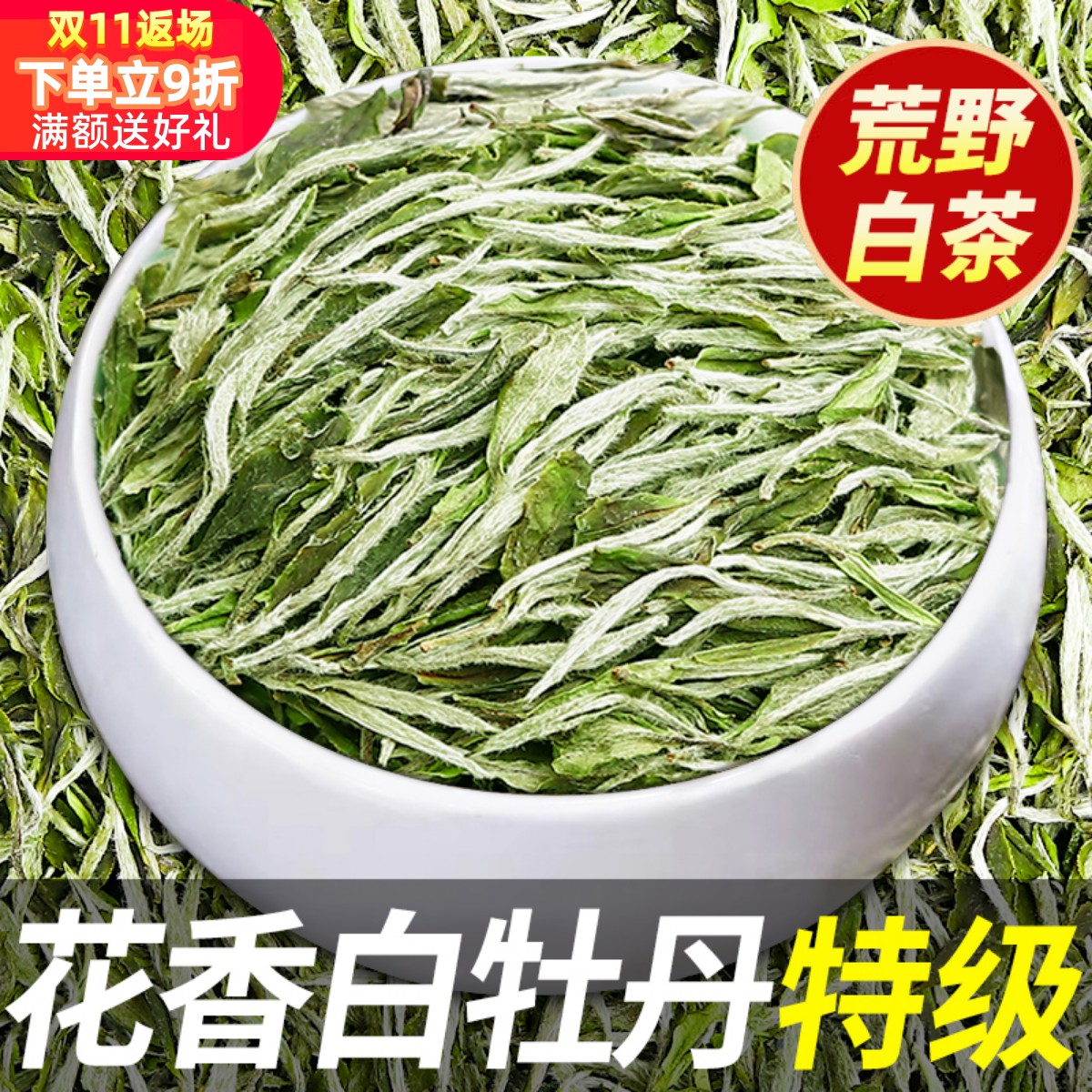 鼎山鼎2025年首采白茶白牡丹