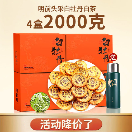 2025年新茶福建高山明前白茶白牡丹花香蜜韵纽扣茶礼盒装