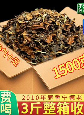 福建老树白茶1500克鼎山鼎