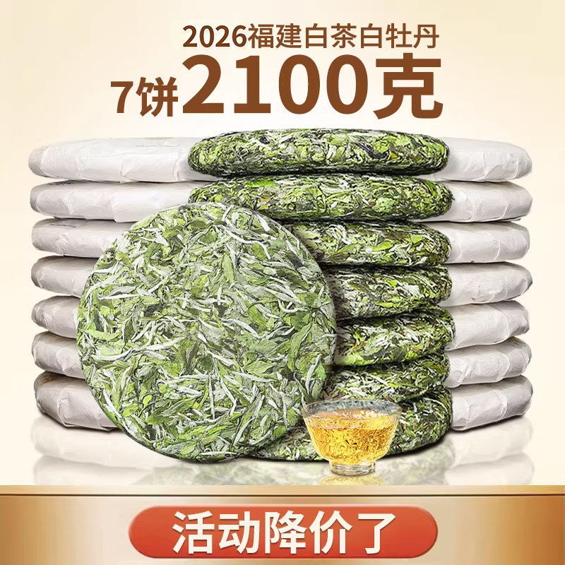 2026年福鼎白牡丹高山大白茶花香荒野老树明前太姥山脉茶饼7饼