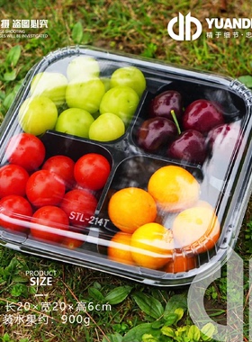 爱天元·214T四宫格果切包装盒干果盘拼盘打包盒  1箱400只