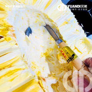 爱天元 2把 ·水果店专用久保利菠萝蜜取芯弯刀便捷使用升级款