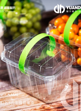 爱天元·102B2.5斤透明塑料盒含把手蜂糖李砂糖橘水果通用打包盒