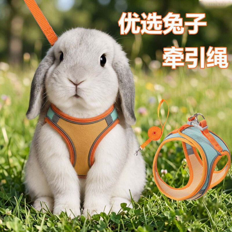 兔子牵引绳遛侏儒兔专用防挣脱小兔兔的神器背带垂耳兔小型荷兰猪