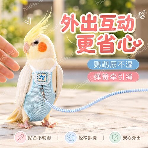 夏天网纱透气鹦鹉尿不湿立体鹦鹉放飞牵引绳可调节外出飞行服屎兜