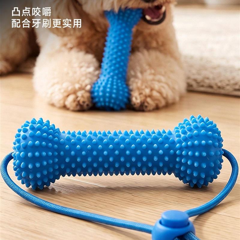 狗刷牙辅助器宠物咬棍磨牙口腔清洁玩具侧牙犬齿辅助训练工具省力