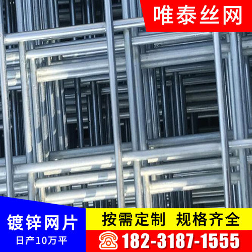 热销现货速发镀锌网片电焊铁丝y网片o建筑钢丝F网养殖隔离网加粗
