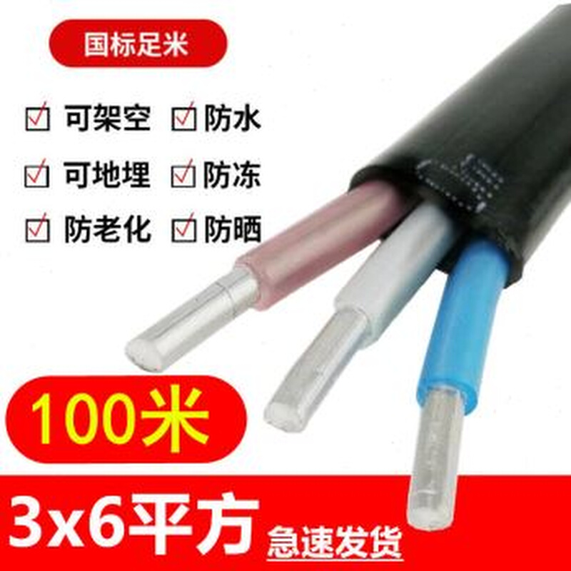 国标2芯铝芯电缆线家用户外25 4 6平方电线10 16 25双芯铝护套i.