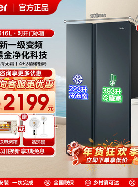 海尔冰箱双开门 616L升两门对开门一级变频大容量家用节能省电