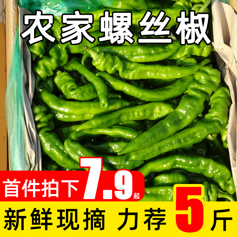 螺丝椒新鲜现摘青色青尖辣椒当季农家蔬菜青椒泡椒剁椒5斤青陇椒 水产肉类/新鲜蔬果/熟食 辣椒 原图主图