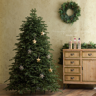 2025新款 饰 pe圣诞树家用大型仿真加密诺贝松韩系ins风场景装