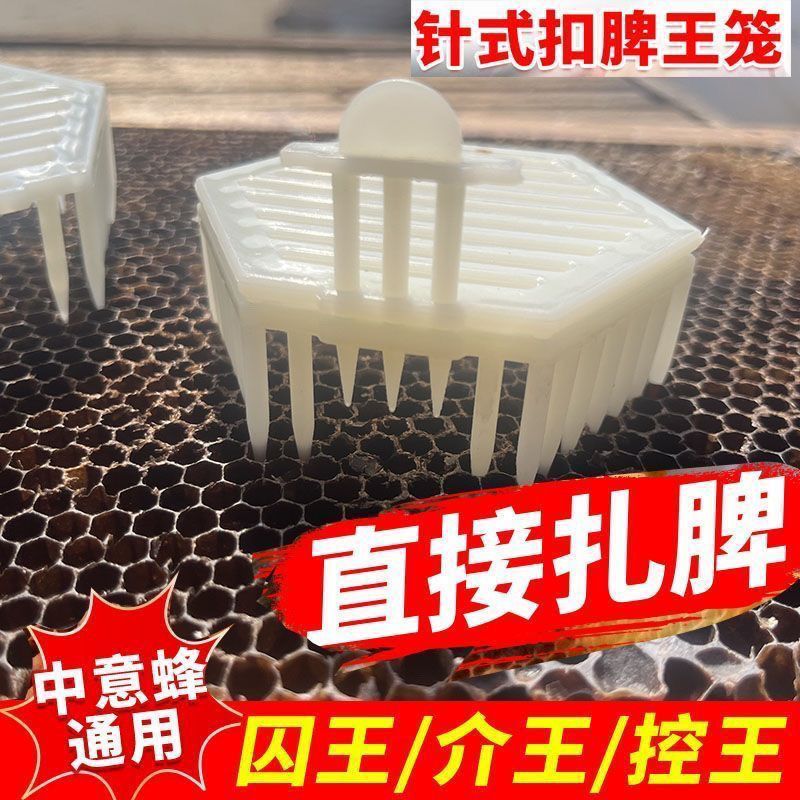 新款针式囚王笼全套通用养蜂塑料蜜蜂专用囚王笼中蜂蜂王蜜蜂用具