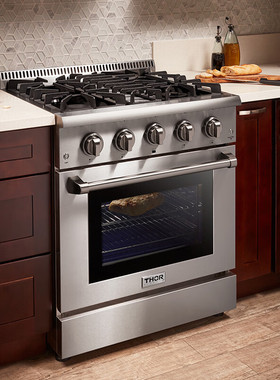 thorkitchen烤箱灶别墅商家用不锈钢嵌入式6眼燃气烤箱集成灶