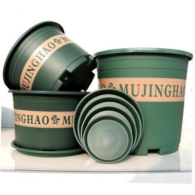 More large flower pot plastic plant trees green plant POTS
