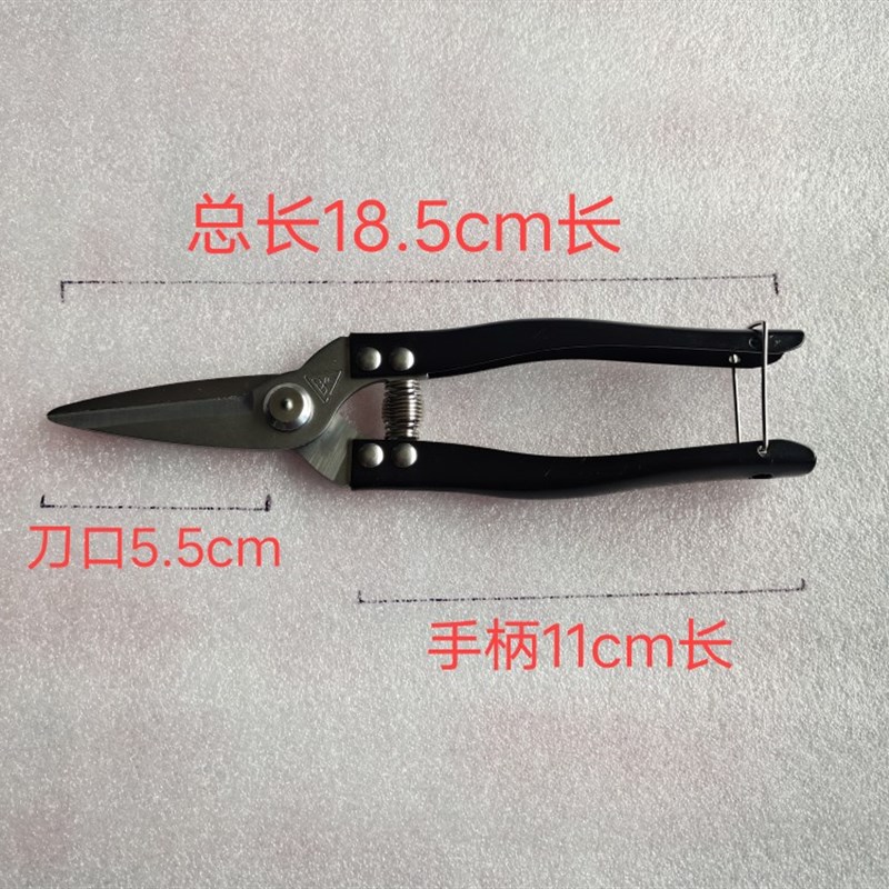 罗定不锈钢采果剪 疏果剪长梢剪园艺修枝剪果剪树枝剪 修花小剪刀