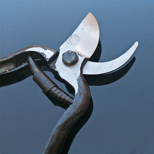 家用老式省力园艺剪子桑花剪果树园林树枝剪刀修枝剪神器工具